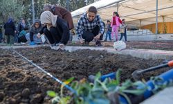 İzmirli kadınlar toprakla buluştu: Mahalle bostanlarında kış dikimleri başladı