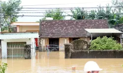 Kalmaegi tayfunu yıkım yarattı: 5 ölü, binlerce ev zarar gördü!