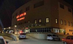 ‘Hayvan otlatma’ kavgası kanlı bitti: Komşusunu öldürüp intihar etti