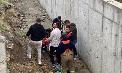 Kontrolden çıkan araç dehşet saçtı: Genç kadın yaşamını yitirdi!