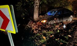 Kontrolden çıkan otomobil ağaca çarptı: 3 yaralı