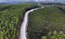 Köyceğiz'in yolları yenileniyor: 21 milyonluk ulaşım yatırımı sürüyor