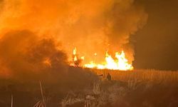 Kuşların evi yanıyor: Nehil Sazlığı’nda korkutan yangın!