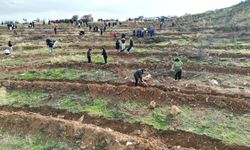 Manisa’da Milli Ağaçlandırma Günü coşkusu