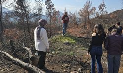 Menteşeli gençlerden doğaya örnek davranış