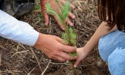 Minik eller, yeşil bir Bodrum için toprakla buluştu