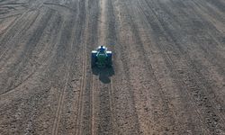 Muğla Büyükşehir'den 'yem bitkisi üretim modeli'yle hayvancılığa destek