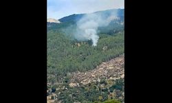 Muğla'da çıkan orman yangınına ekipler müdahele ediyor