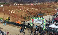 Muğla'da yanan topraklar fidanla şenleniyor