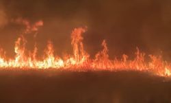 Nehil Sazlığı’nda yangın: Yerleşim alanları tehlikede!