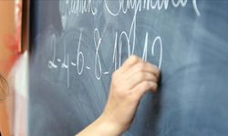 Eğitim diplomalı seyyar tezgahlar