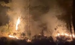 Orman yangını paniğe yol açtı: Ekiplerin müdahalesiyle büyümeden söndürüldü!