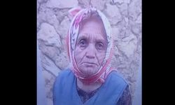 Mantar toplama işi ölüm getirdi: Ormanlık alanda cansız bedeni bulundu