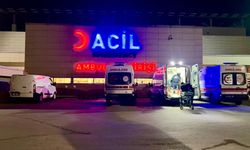 Pitbull kabusu: 1,5 ve 5 yaşındaki iki kardeş yaralandı!