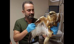 Sevilen veteriner Uğur Cem Tahmaz hayatını kaybetti