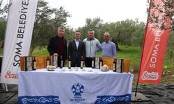 Soma zeytinyağında dünya markası olma yolunda