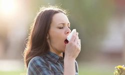 Sonbahar alerjilerine dikkat: Küf mantarları sessizce yayılıyor