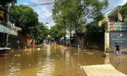 Tayland’ın güneyinde sel felaketinde can kaybı 162’ye yükseldi