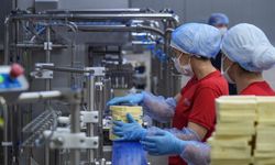 TKDK hibeleri İzmir’in süt tesislerini AB standartlarına taşıyor