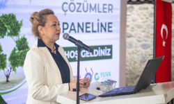 Uzmanlar uyardı, Bornova Belediyesi sahada uyguladı