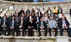 Hayat ağacında hasat sürüyor