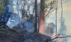 Bahçede çıkan yangın ormana sıçradı!