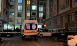 Yüksek dozlu ilaçlama faciası: 1’i bebek 7 kişi zehirlendi!