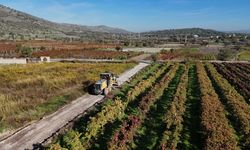 Yunusemre Belediyesi'nden üreticiye ulaşım desteği