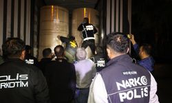 Yurt dışından gelen tıra operasyon: 223 kilo skunk ele geçirildi!