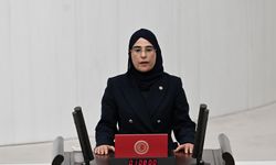 52 bin liralık ayakkabısı tepki topladı... Ak Parti milletvekili Cevahir Asuman Yazmacı kimdir?