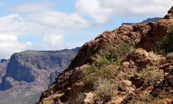 ABD'de 3 bin metrelik dağda yürüyüşe çıkan 3 kişi ölü bulundu