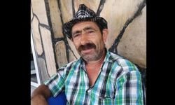 Komşusunun ağaç kesimine yardım eden 2 çocuk babası adam hayatını kaybetti