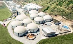 Arf Bio ne iş yapar? Arf Bio sahibi kim?