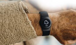 Balıkesir'den örnek uygulama: Akıllı Takip Cihazı Desteği