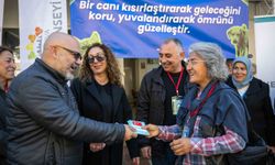 Bornova, sokak hayvanlarına umut oluyor: 55 can dost yeni yuvasında!