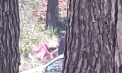 Buca’da şiddet olayı: Kadının yardım çığlıkları cep telefonuna yansıdı!