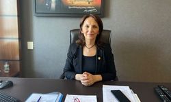 CHP Ankara milletvekili Aliye Timisi Ersever kimdir?