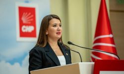 CHP'li Gökçe Gökçen: Bu ülke, nefretin ve zorbalığın ülkesi olmayacak!