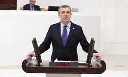 CHP'li Türeli'den ortak akıl çağrısı: "Krizin çözümü için konsey toplanmalı"