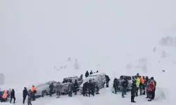 Çığ faciası: 1 çoban hayatını kaybetti, 2 kişi kayıp!