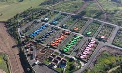 Deprem konteynerleri, can dostlara yuva oldu