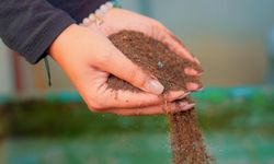 Didim'de pazar atıkları, toprağa can oluyor