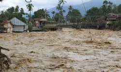 Endonezya'da şiddetli yağışlar can aldı: 914 ölü