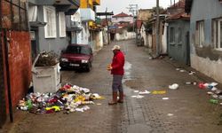Germencik'te çevreye verilen zarar yargıya taşınıyor