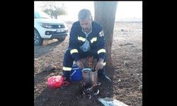 Görev başında elektrik akımına kapılan işçi hayatını kaybetti