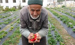 İbrahim Çakmakçı kimdir, neden öldü?
