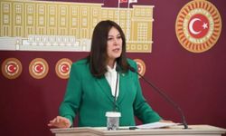 İYİ Partili Sunat, Vestel krizini Meclis'e taşıdı: "Manisa ekonomisi için önlem alınmalı"