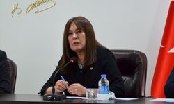 İYİ Partili Sunat'tan Kültür ve Turizm Bakanlığı’na çağrı: Yayıncılık krizi kapımızda!