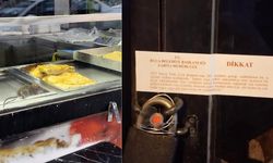 İzmir'de farenin börek yediği işletme mühürlendi
