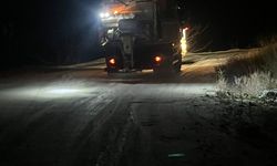 İzmir'in yüksek kesimlerindeki kar yağışı ekipleri alarma geçirdi